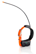 GARMIN DC 50 Halsband